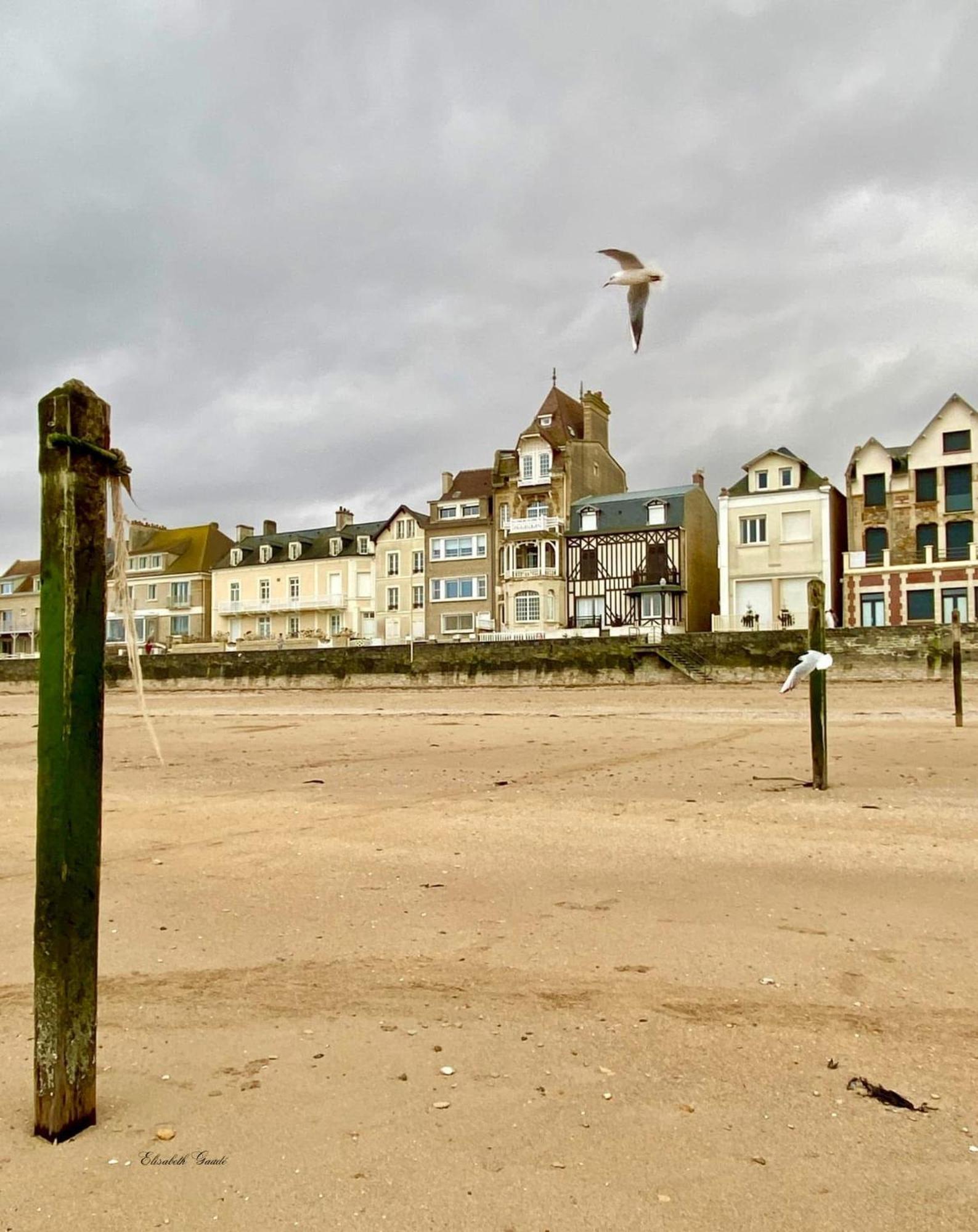 Saint-Aubin-Sur-Mer: Bel Appartement Traversant Exterior photo